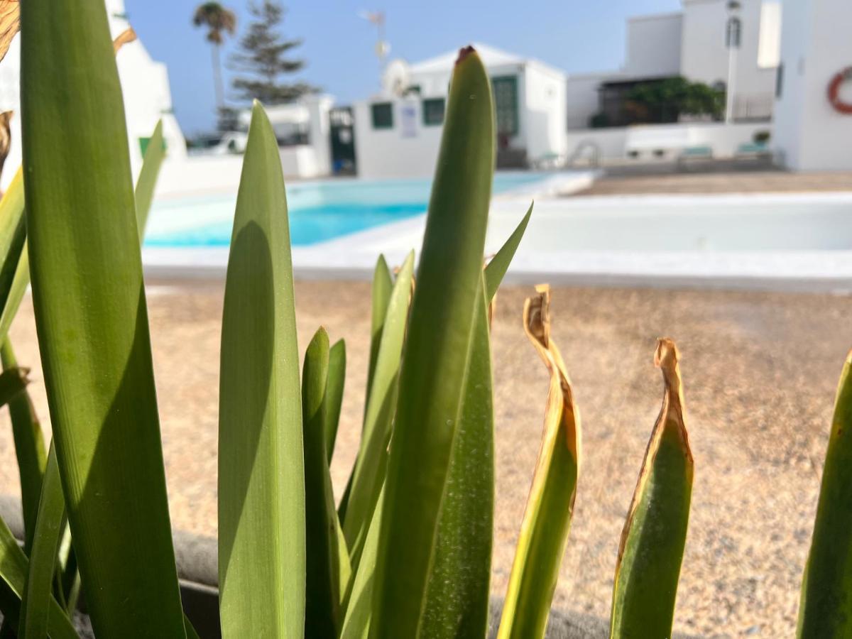 Las Mimosas Beach Sol 푸에르토 델 카르멘 외부 사진