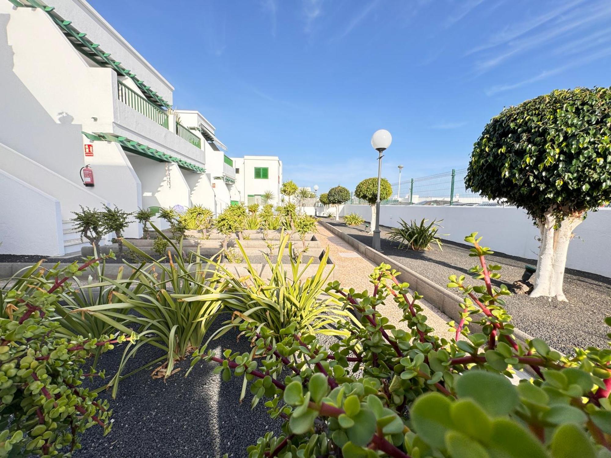 Las Mimosas Beach Sol 푸에르토 델 카르멘 외부 사진